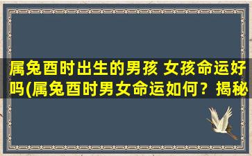 属兔酉时出生的男孩 女孩命运好吗(属兔酉时男女命运如何？揭秘属兔酉时人的成功密码！)